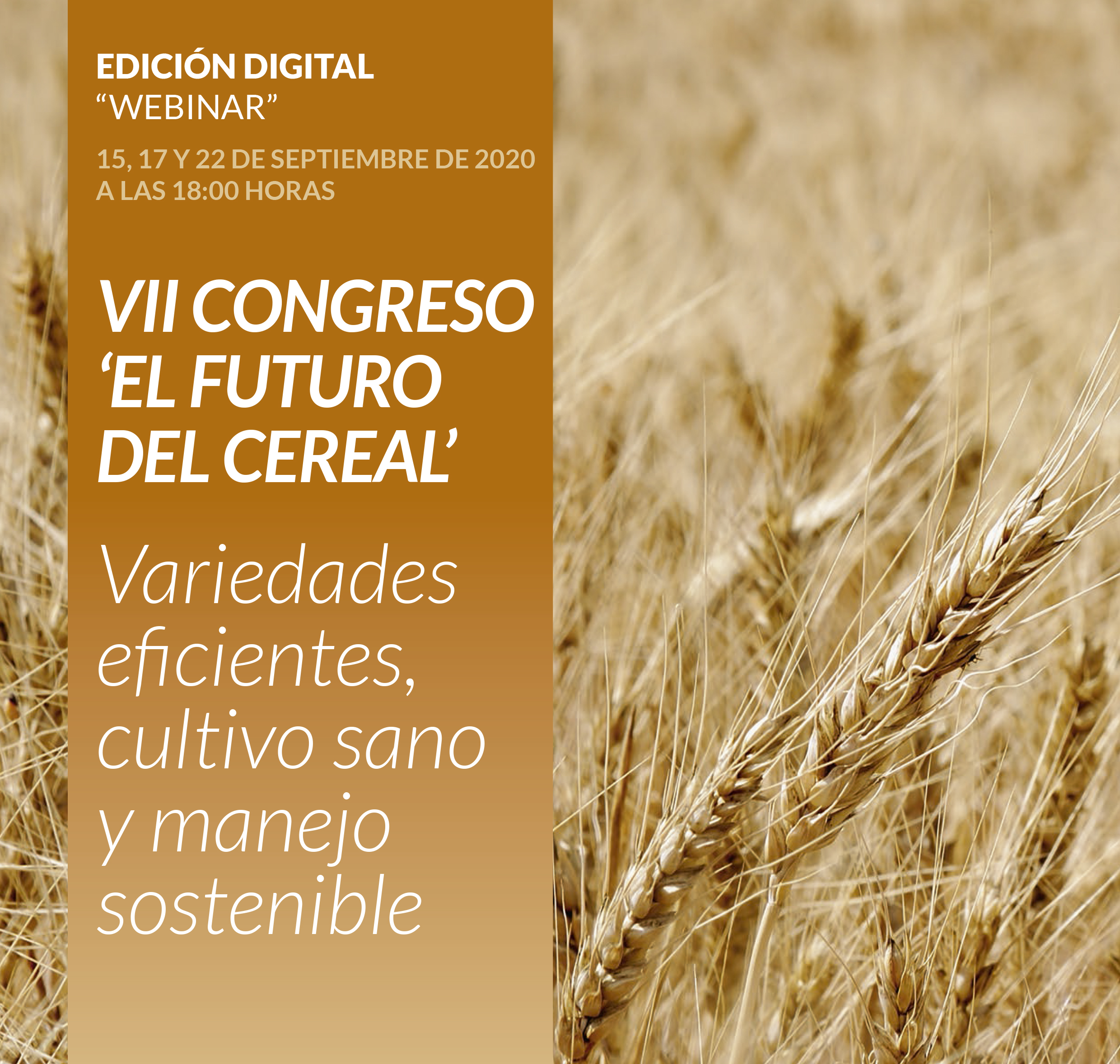 cartel de VII Congreso 'El Futuro del Cereal'