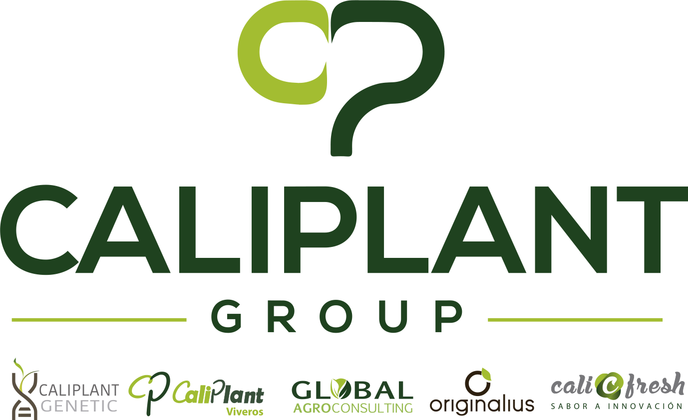 Logo de Caliplant