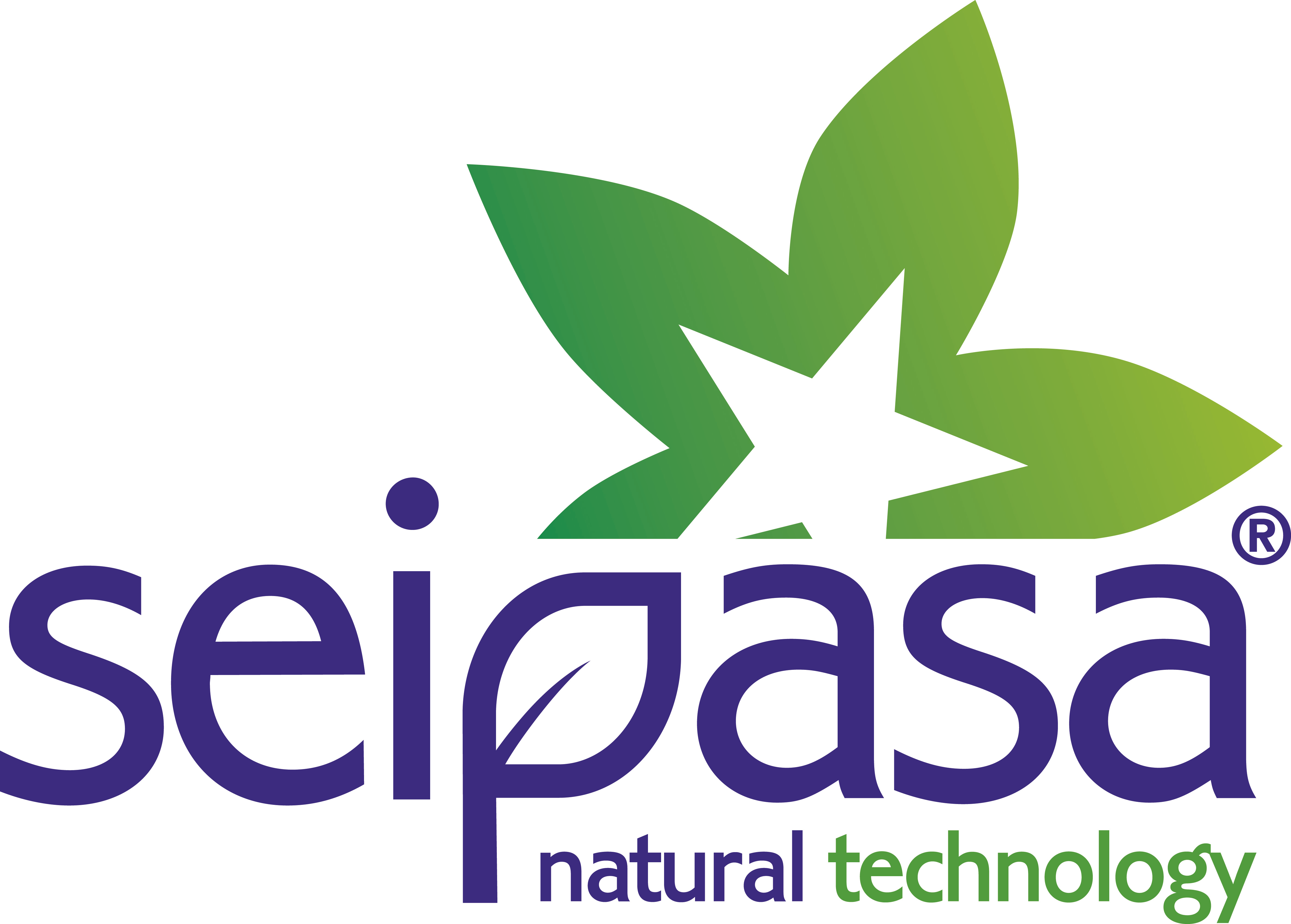 Logo de SEIPASA