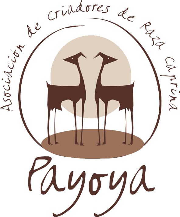Logo de PAYOYA