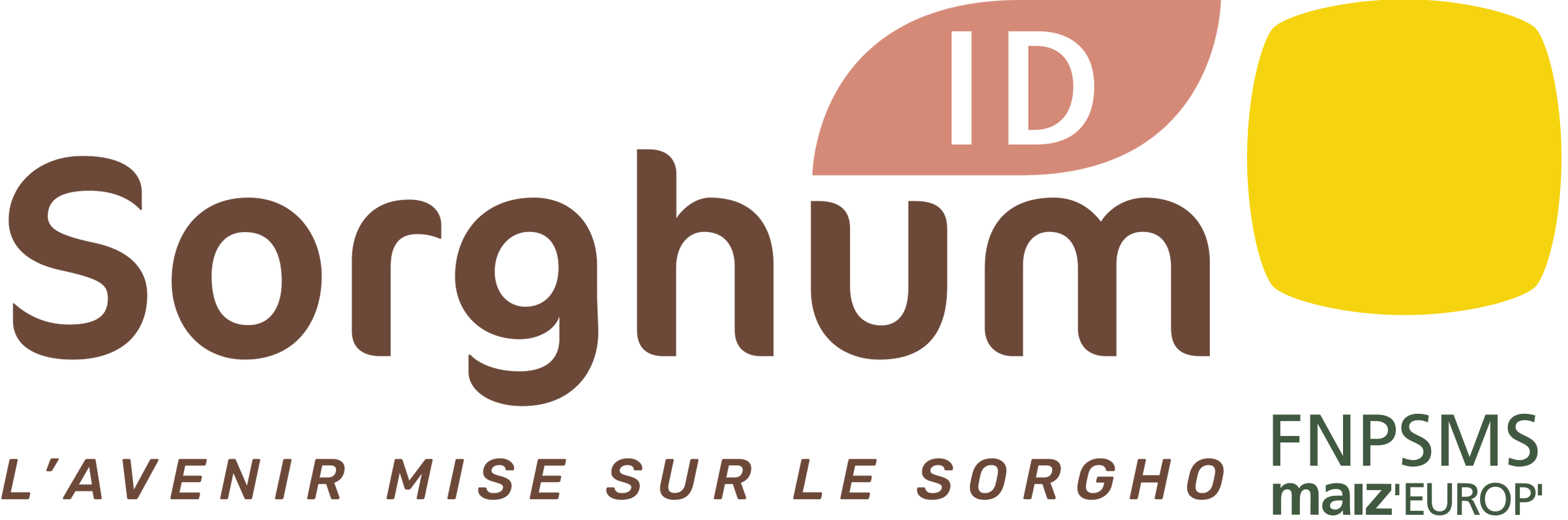 Logo de SORGHUM ID