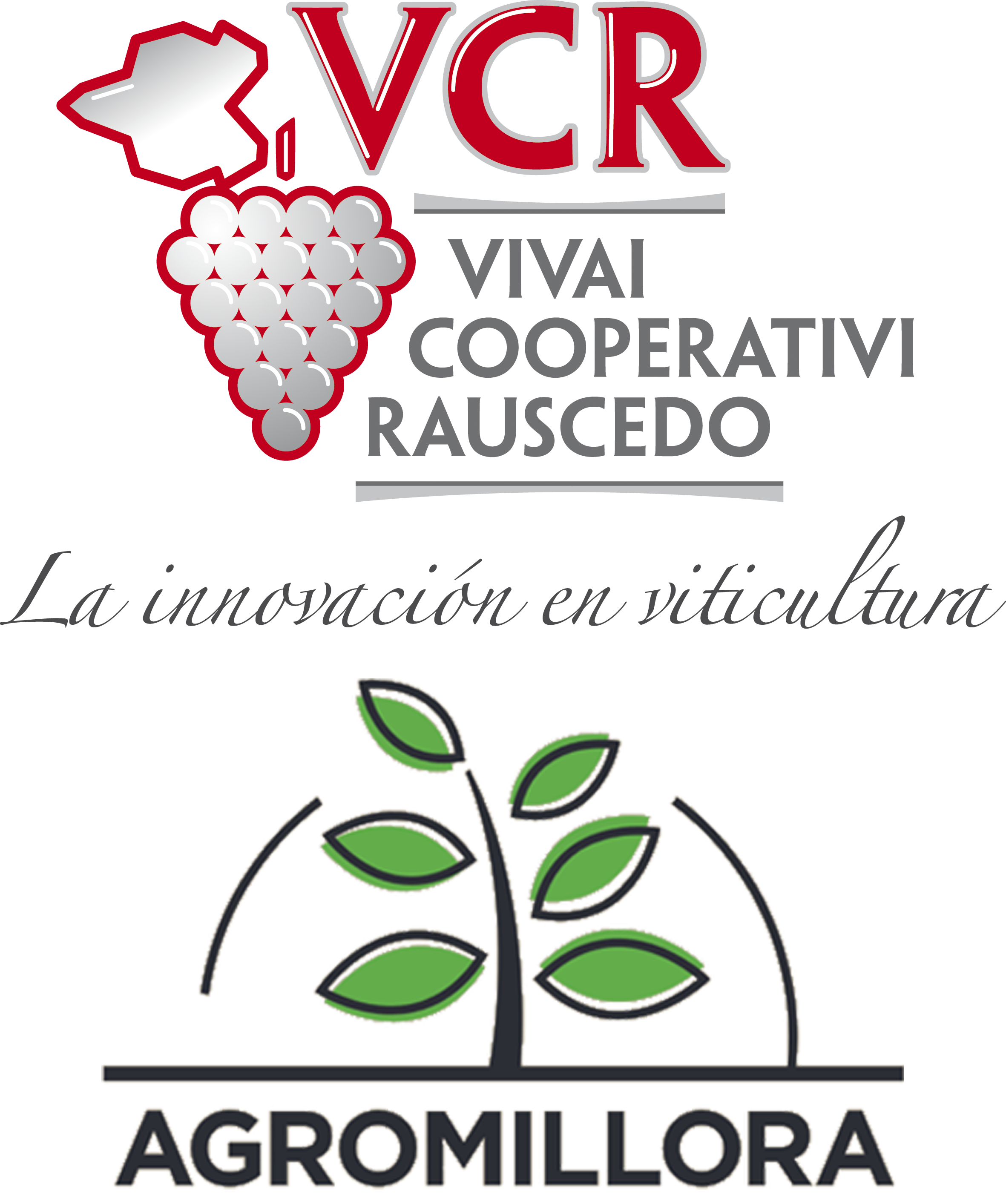 Logo de Vivai Cooperativi Rauscedo  Agromillora
